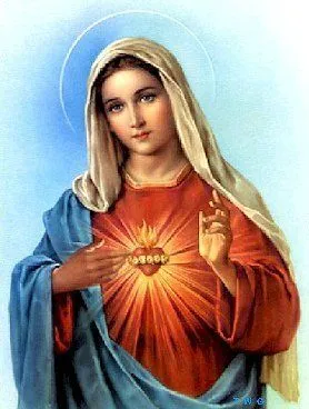 Virgen Maria Santísima - Inmaculada Concepción , Madre de Dios