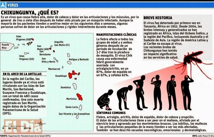 Qué hay que saber sobre el virus sin cura chikungunya que se ...
