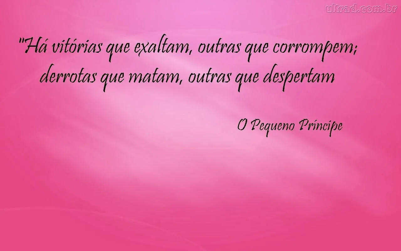 Visão do mundo por Rebeca: Frases do Livro "O Pequeno Príncipe" #