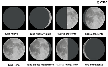 VISIÓN AGROECOLÓGICA: Trabajemos con la luna