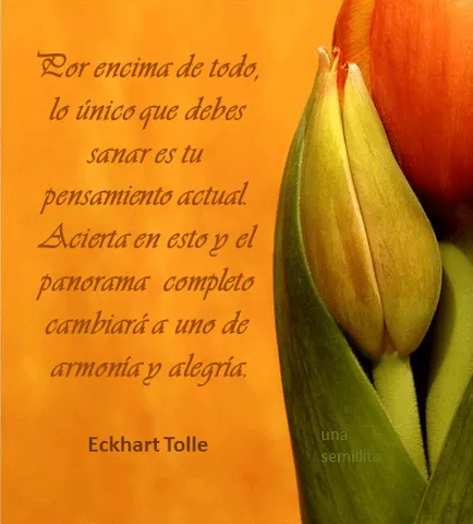 VISIONESDELAMATRIX: DE LA MANO DE ECKHART TOLLE