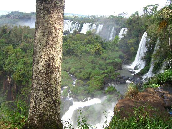 vista de cataratas del iguazu desde el circuito superior - Foto di ...