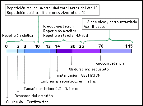 Vista de impresión del artículo Análisis de datos en los factores ...