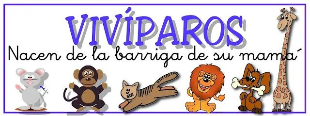 viv%C3%ADparos+.jpg