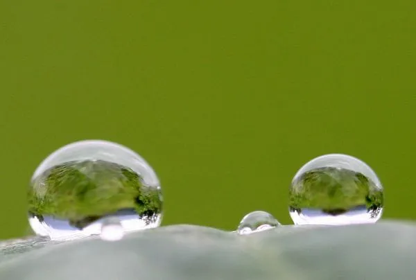 Vive, que no es poco.: COMO HACER UNA FOTOGRAFIA DE GOTA DE AGUA?