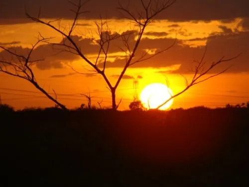 VIVENCIAS LLANERAS DEL ABUELO: El sol de los Venados