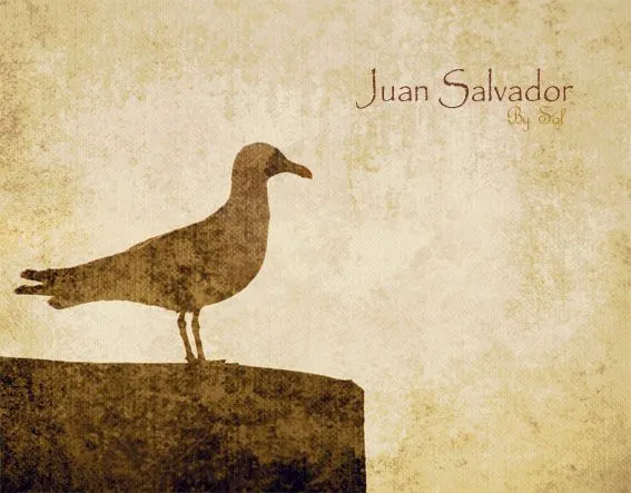 Vivencias: Va de sardinas, gaviotas y flores. Fotos. | Marsupina ...