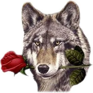  ... vivía Skan, el lobo gris plata, junto a su manada de lobos árticos