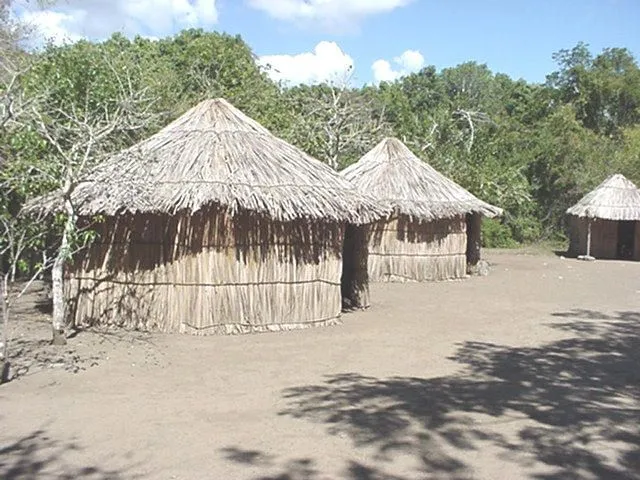 Viviendas Indigenas Pictures