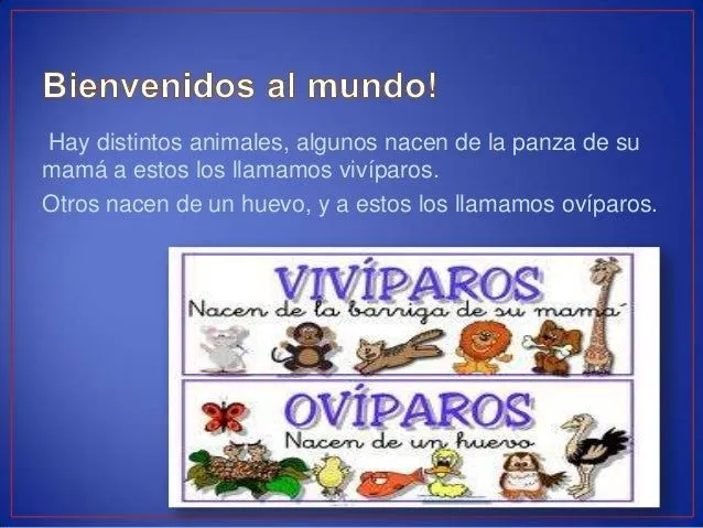 Vivíparos, ovíparos