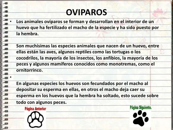 Vivíparos, Ovíparos y Ovovivíparos