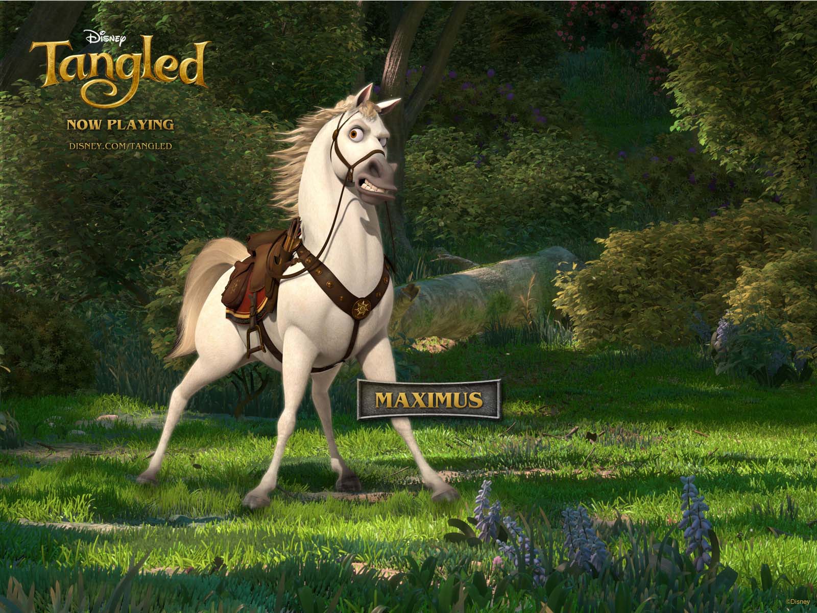 VIZIO BLOG: TANGLED: DISNEY MOVIE 3D WALLPAPERS