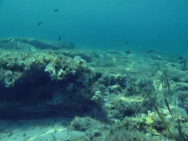 Voglio andarmi a posare sul fondo del mare « Ponza Racconta