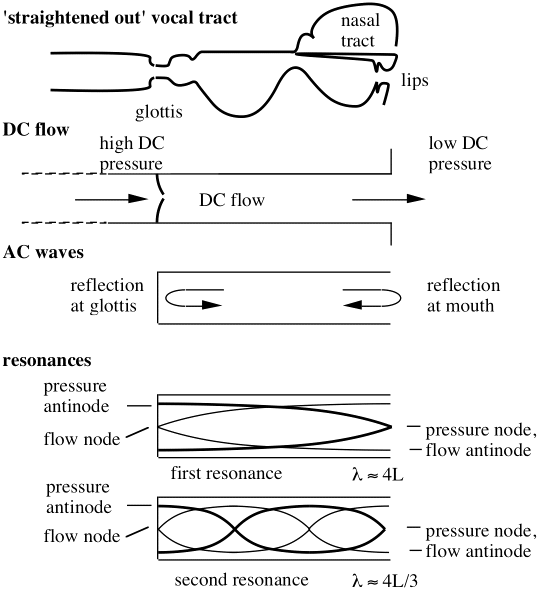 Voice Acoustics: an introduction to the science of speech and singing