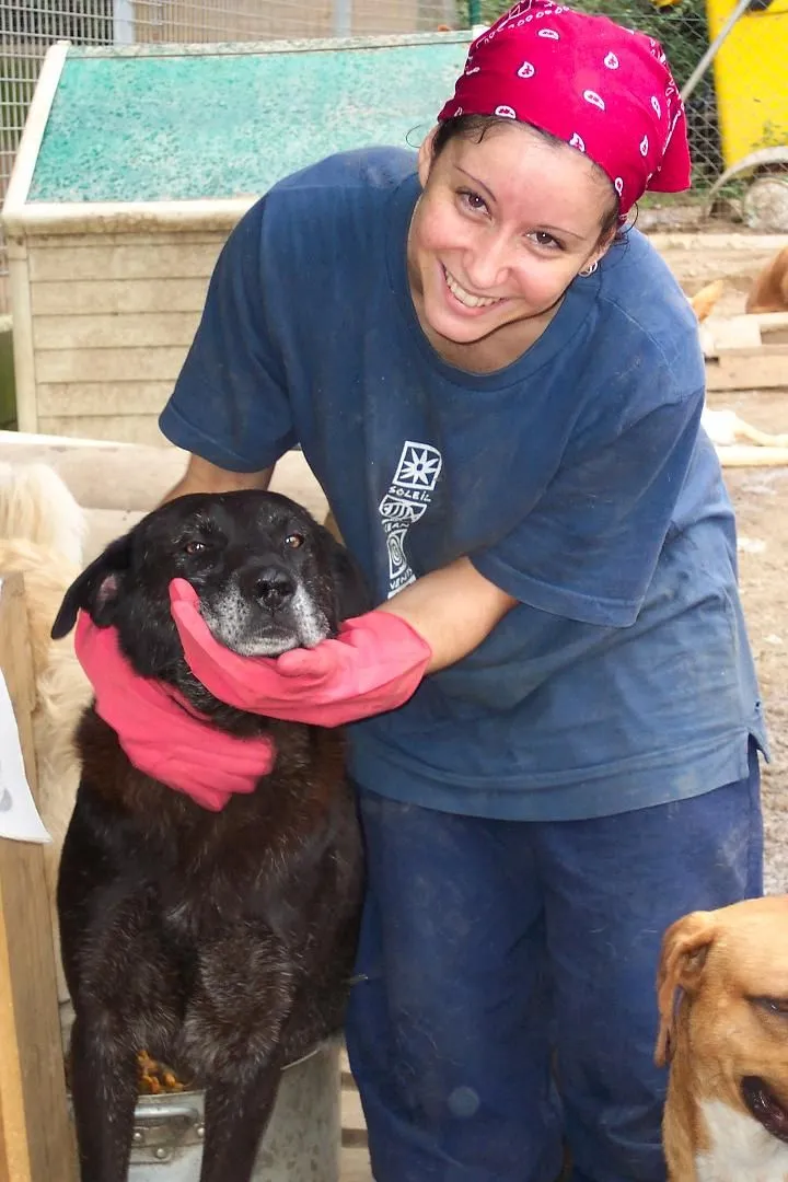 LOS VOLUNTARIOS | Refugio de animales de Ponteareas