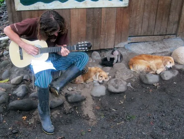 Volunteering at the Monkey Rescue Center in Puyo, Ecuador - Travel ...