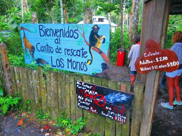 Volunteering at the Monkey Rescue Center in Puyo, Ecuador - Travel ...