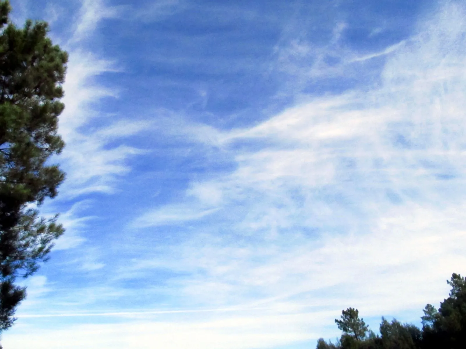 A votar con cielo soleado (pese a los pronósticos) - Cielos