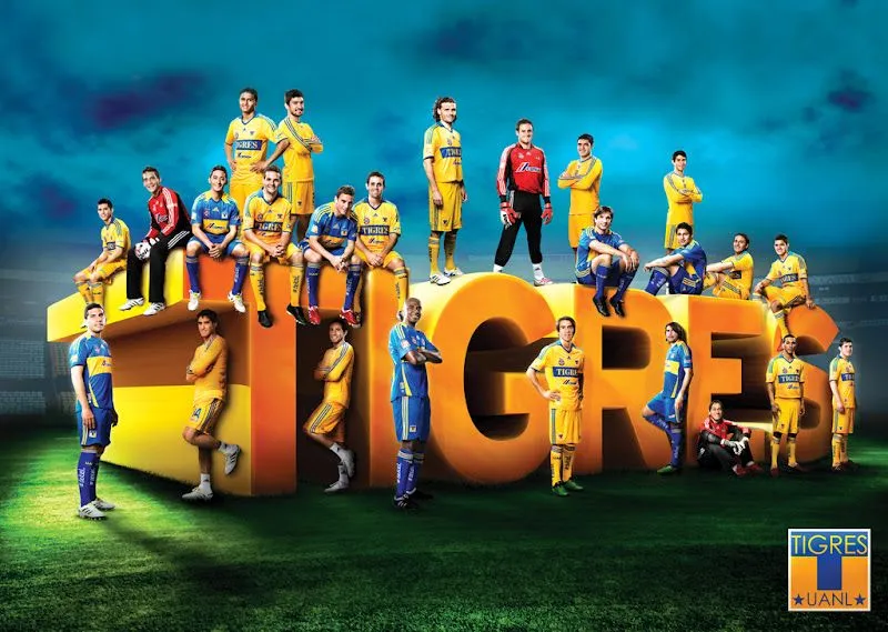 Imagenes de equipo tigres - Imagui