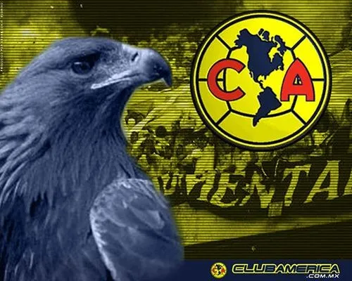 wallpaper de las aguilas del america