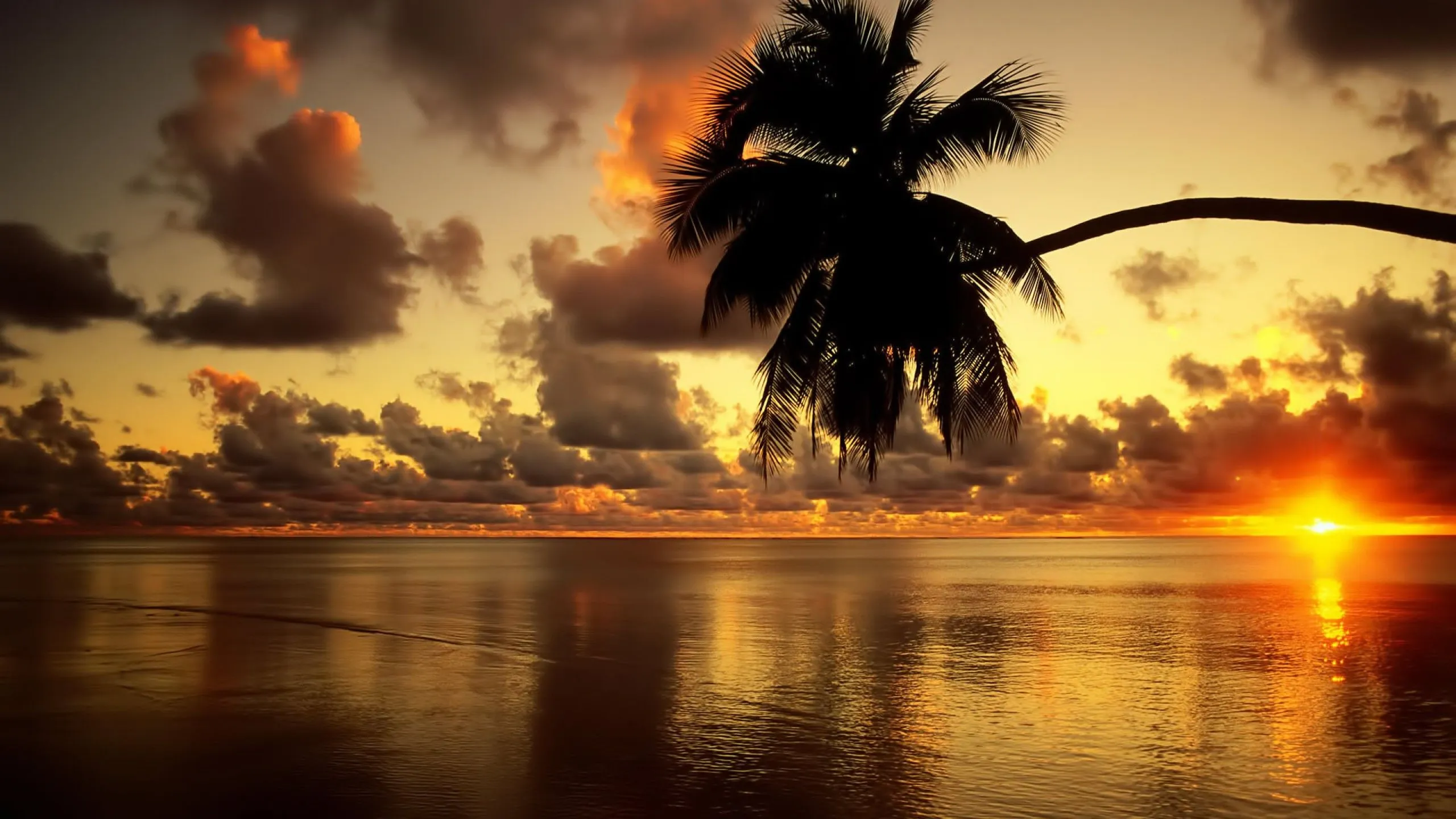 Wallpaper Atardecer en Playa Tropical