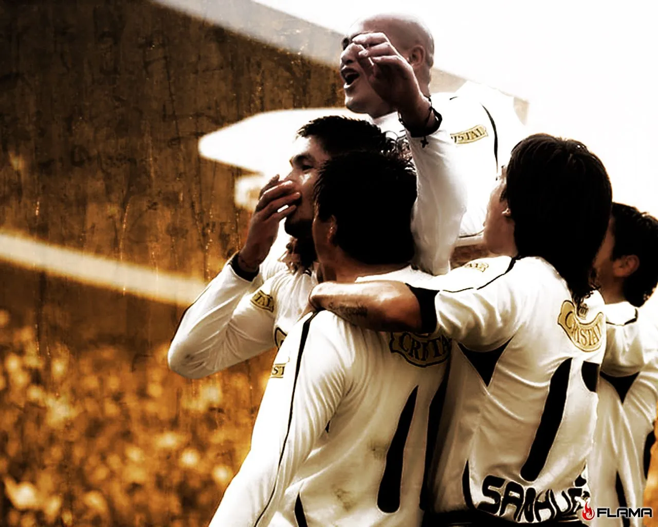 Wallpaper Colo Colo Hd