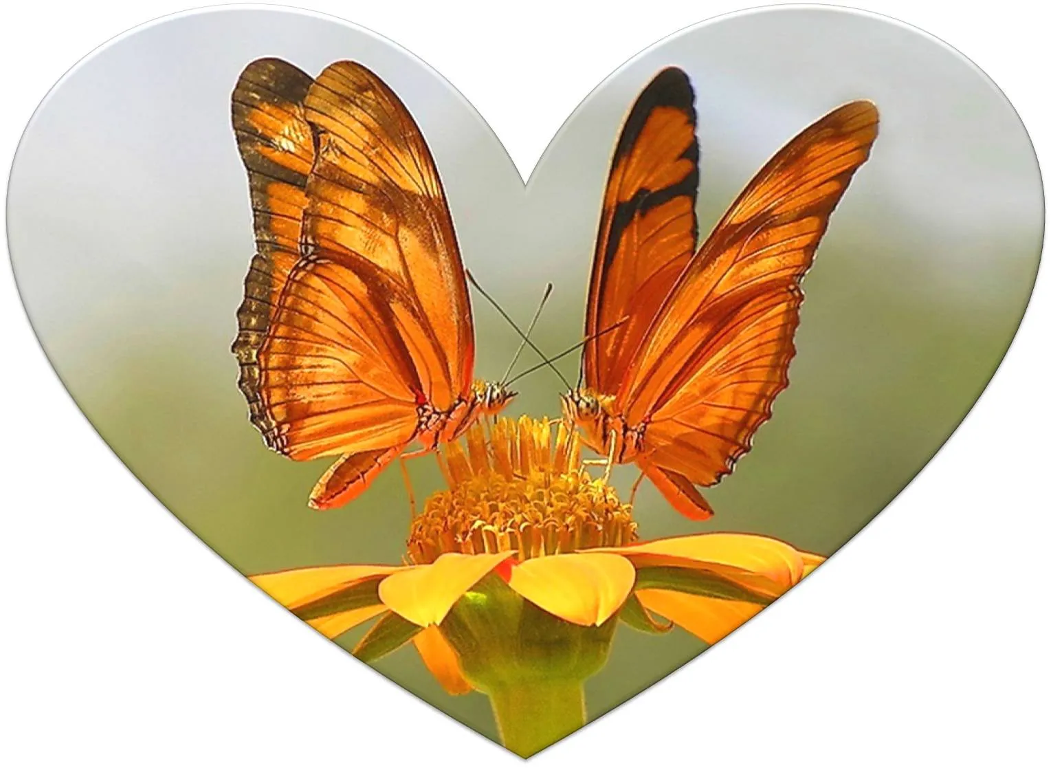 Wallpaper de corazones y mariposas | Poemas y Corazones