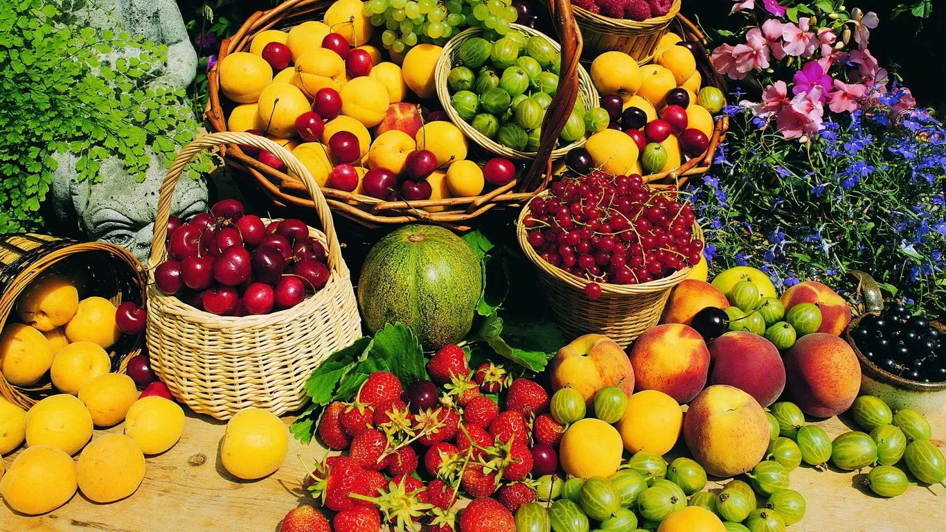 Wallpaper HD de frutas animadas - Imagui