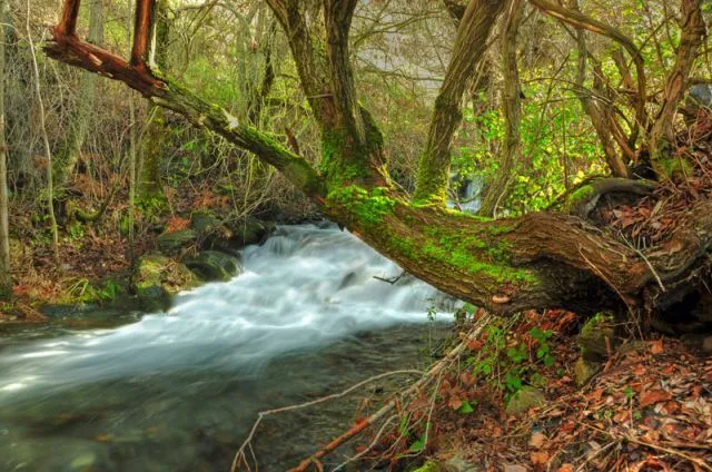 la orilla del rio | fotos de Paisajes naturales y urbanos