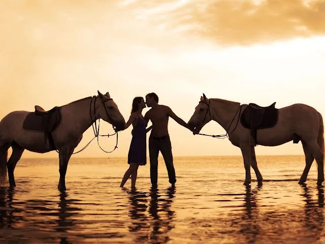 Wallpapers de caballos en la playa HD - Imagui