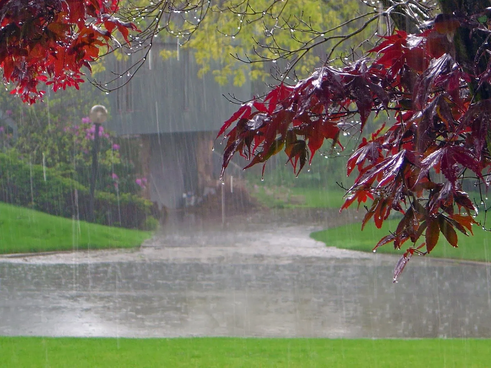 Wallpapers HD: 26 Wallpapers excelentes de Lluvia - Fondos de ...