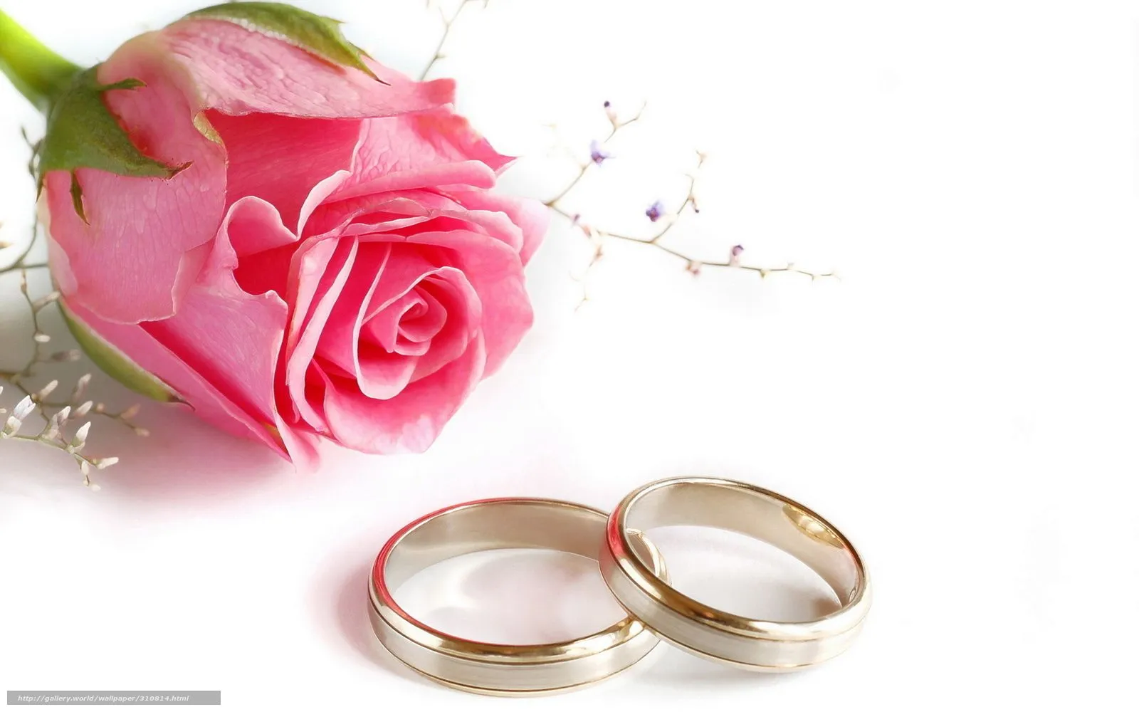 Wallpapers HD de anillos de matrimonio - Imagui