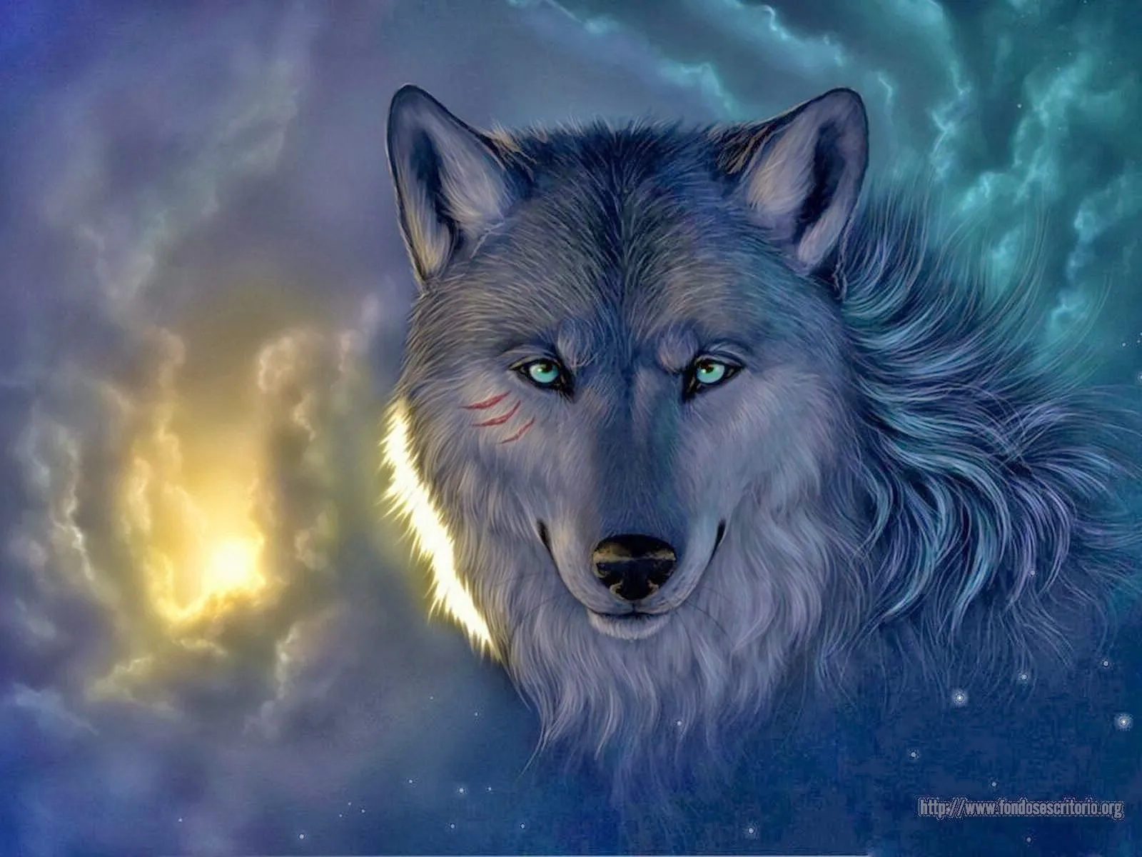 Wallpapers HD: Lobos hd - varias resoluciones (15)