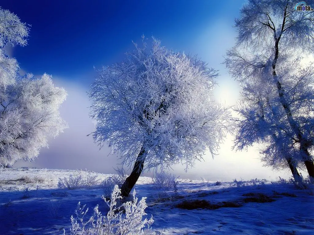 Wallpapers de paisajes con nieve - Taringa!