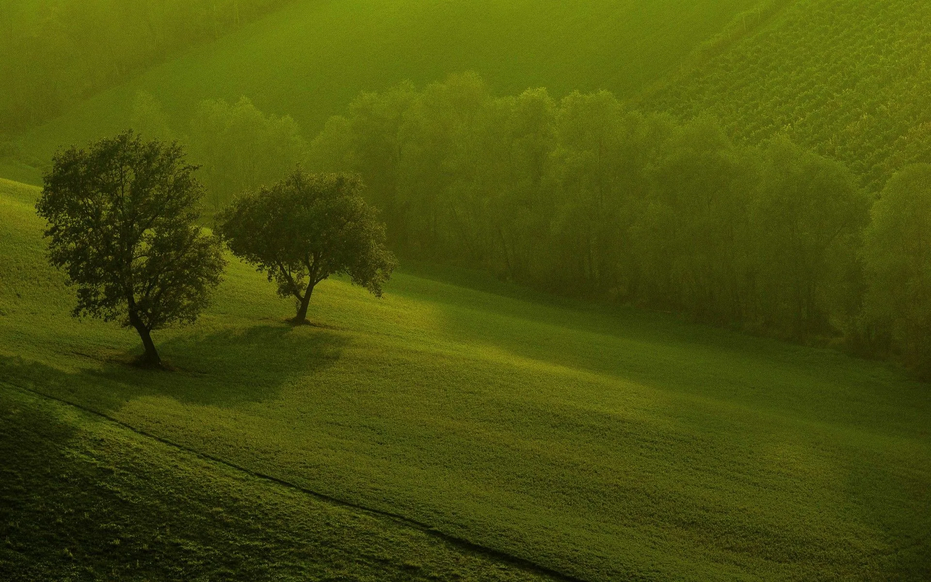 WallPapers de Paisajes Verdes | Proyectos Beta