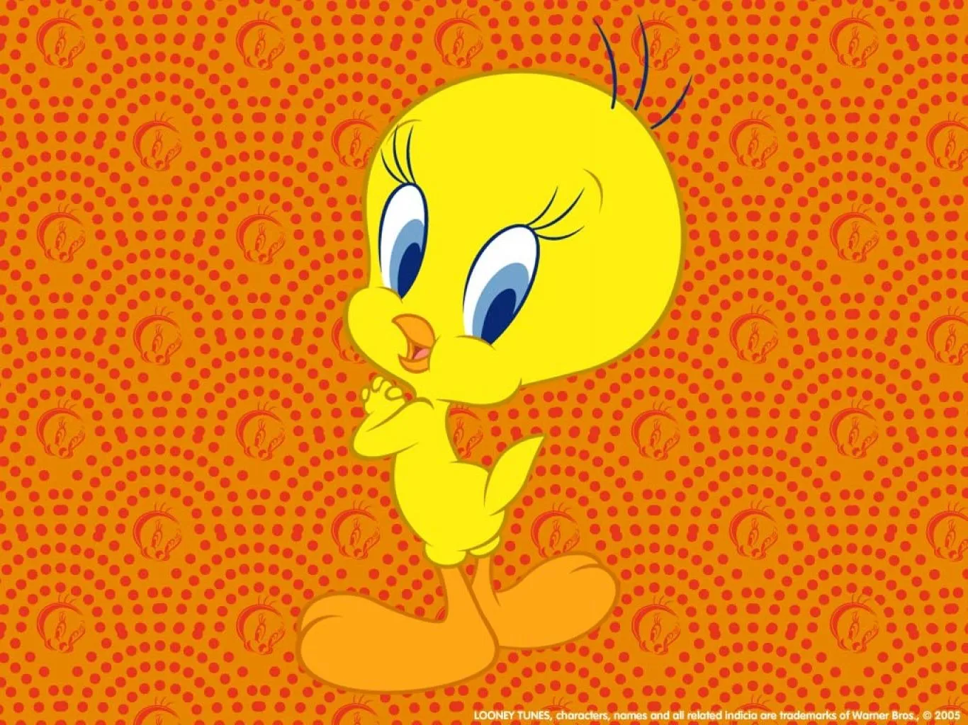 Free Download Wallpapers Piolin Fondo De Pantalla Dibujos Animados ...