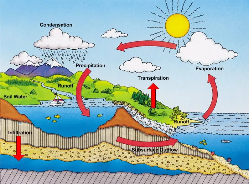 Water Cycle example - ThingLink