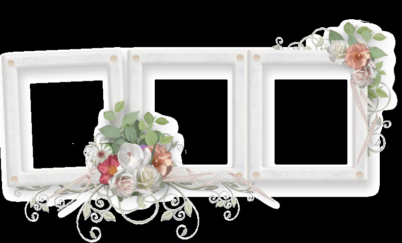 wedding-frame-element | Digital Dream FX