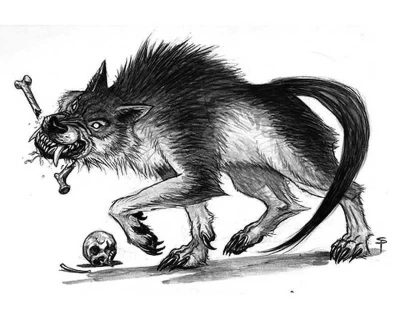 Werewolf art, Fantasy creature art, Werewolf