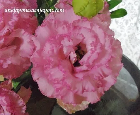 White Day 2014 – ホワイト・デイ 2014 | Una japonesa en Japón ...