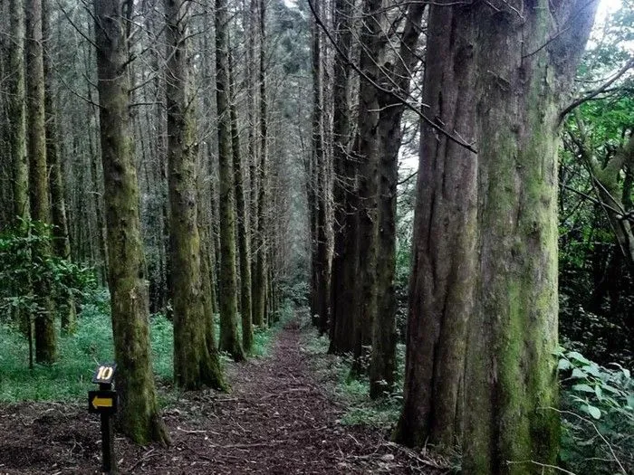 Wikiloc - Foto de bosque del niño caseta volcán Poás