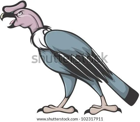 Wild Andean Condor Illustration - 102317911 : Shutterstock