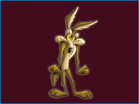 El coyote de los Looney Tunes - Imagui