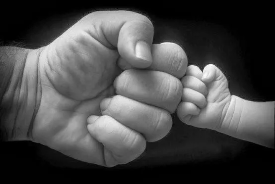 WJtraining | WJtraining