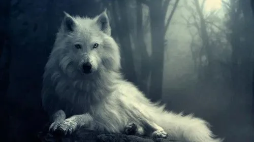 Wolves Lovers | Sobre Los Lobos