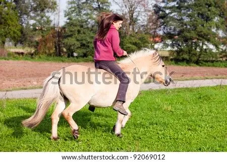 Woman With Little Horse - Horseback Riding On Paddock Stock Photo ...