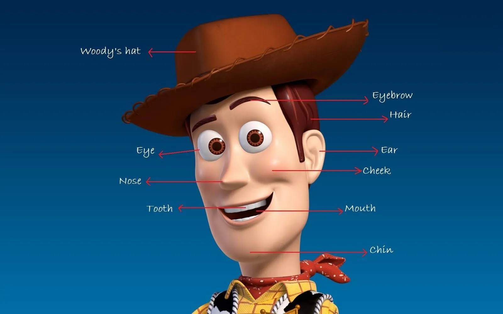  ... Woody, uno de los personajes de Toy Story, donde podemos ver las