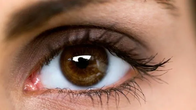 Writing with Your Eyes? Researchers Make It Possible - ABC News