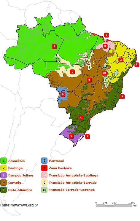 WWF Brasil - Biomas Brasileiros