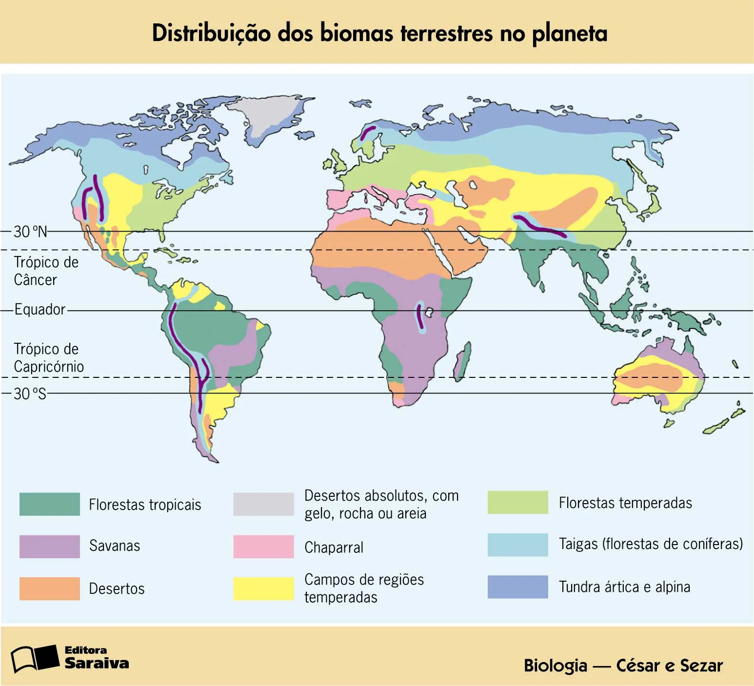 Ximena Sosa Motta Blog | Ciencias Geográficas 1er y 2do año